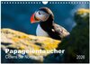 Buchcover PAPAGEIENTAUCHER - Clowns der Nordmeere (Wandkalender 2026 DIN A4 quer), CALVENDO Monatskalender