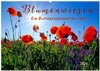 Buchcover Blumenwiesen – ein blütenzauberhaftes Jahr (Wandkalender 2026 DIN A2 quer), CALVENDO Monatskalender