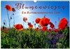 Buchcover Blumenwiesen – ein blütenzauberhaftes Jahr (Wandkalender 2026 DIN A3 quer), CALVENDO Monatskalender