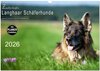Buchcover Zauberhafte Langhaar Schäferhunde (Wandkalender 2026 DIN A3 quer), CALVENDO Monatskalender
