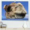 Buchcover Die Kameliden. Hübsche Kamele, Lamas und Alpakas (hochwertiger Premium Wandkalender 2026 DIN A2 quer), Kunstdruck in Hoc