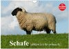 Buchcover Schafe zählen leicht gemacht! (Wandkalender 2026 DIN A4 quer), CALVENDO Monatskalender