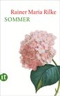 Buchcover Sommer