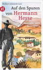 Buchcover Auf den Spuren von Hermann Hesse