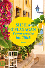 Buchcover Sommerreise ins Glück