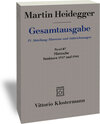 Buchcover Nietzsche: Seminare 1937 und 1944. 1. Nietzsches metaphysische Grundstellung (Sein und Schein) 2. Skizzen zu Grundbegrif