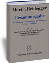 Buchcover Leitgedanken zur Entstehung der Metaphysik, der neuzeitlichen Wissenschaft und der modernen Technik