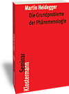 Buchcover Die Grundprobleme der Phänomenologie