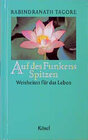 Buchcover Auf des Funkens Spitzen