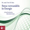 Buchcover Stress verwandeln in Energie