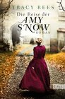 Buchcover Die Reise der Amy Snow