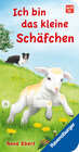 Buchcover Ich bin das kleine Schäfchen