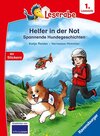 Buchcover Helfer in der Not - Spannende Hundegeschichten - lesen lernen mit dem Leseraben - Erstlesebuch - Kinderbuch ab 6 Jahren 