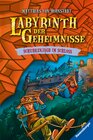 Buchcover Labyrinth der Geheimnisse, Band 5 - Schurkenjagd im Schloss