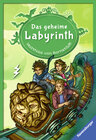 Buchcover Das geheime Labyrinth