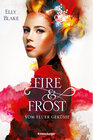 Buchcover Fire & Frost, Band 2: Vom Feuer geküsst
