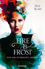 Buchcover Fire & Frost, Band 3: Von der Dunkelheit geliebt