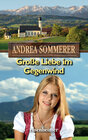 Buchcover Große Liebe im Gegenwind