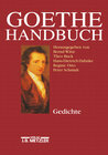 Buchcover Goethe-Handbuch