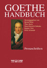 Buchcover Goethe-Handbuch