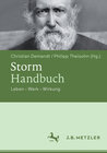 Buchcover Storm-Handbuch