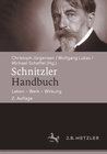 Buchcover Schnitzler-Handbuch