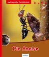 Buchcover Meine große Tierbibliothek: Die Ameise