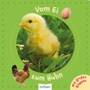 Buchcover Vom Ei zum Huhn