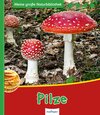 Buchcover Meine große Naturbibliothek: Pilze