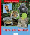 Buchcover Meine große Tierbibliothek: Tiere der Wildnis