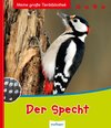 Buchcover Meine große Tierbibliothek: Der Specht