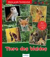 Buchcover Meine große Tierbibliothek: Tiere des Waldes
