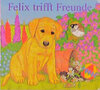 Buchcover Felix trifft Freunde