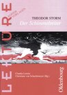 Buchcover Theodor Storm, Der Schimmelreiter