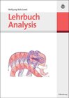 Buchcover Lehrbuch Analysis