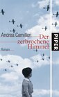 Buchcover Der zerbrochene Himmel