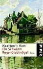 Buchcover Ein Schwarm Regenbrachvögel