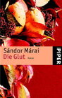 Buchcover Die Glut