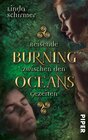 Buchcover Burning Oceans: Reisende zwischen den Gezeiten