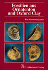 Buchcover Fossilien aus Ornatenton und Oxford Clay