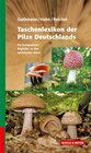 Buchcover Taschenlexikon der Pilze