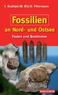Buchcover Fossilien an Nord- und Ostsee