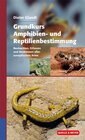 Buchcover Grundkurs Amphibien- und Reptilienbestimmung