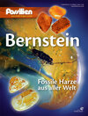 Buchcover Bernstein