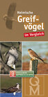 Buchcover Greifvögel