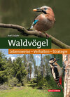 Waldvögel width=