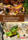 Buchcover Die Amphibien und Reptilien Europas