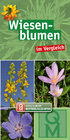 Buchcover Wiesenblumen