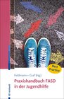 Buchcover Praxishandbuch FASD in der Jugendhilfe