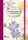 Buchcover Die Wildblumensammlerin